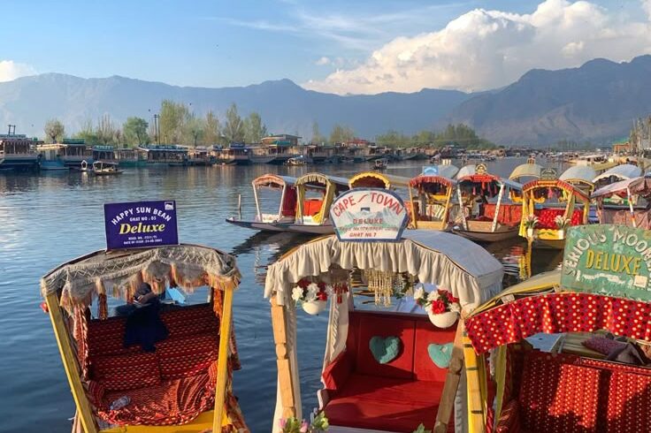 kashmir🌷🏔️ _ dal lake